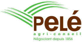 Logo Pel&#233; 