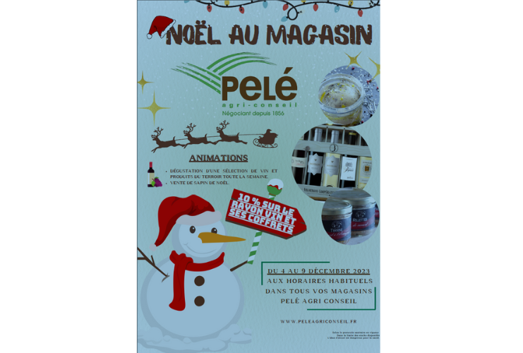 Noël au magasin