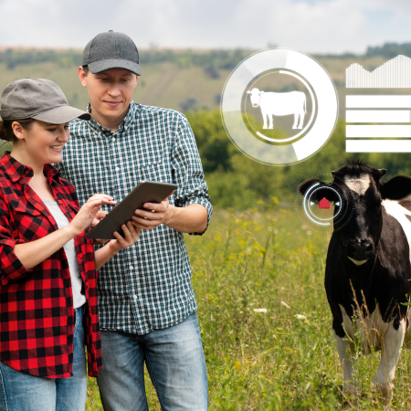 Photo d&#39;un TC avec un agriculteur regardant une tablette dans un champ de colza